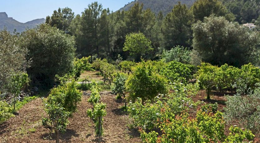 Photo of Casa Tramuntana