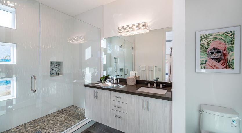 Photo of Palm Springs & Palm Trees