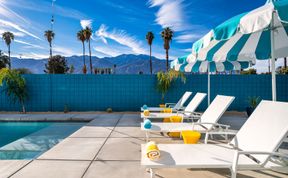 Photo of Palm Springs & Palm Trees