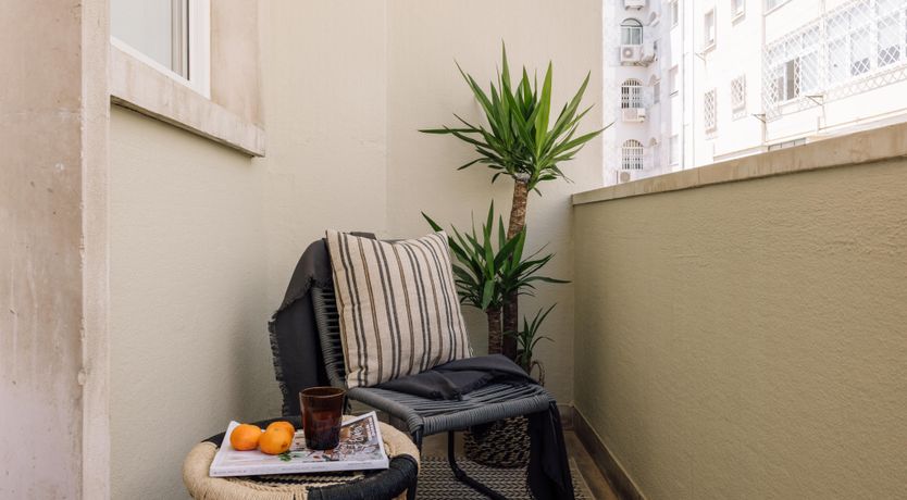 Photo of The Nectarine Dream