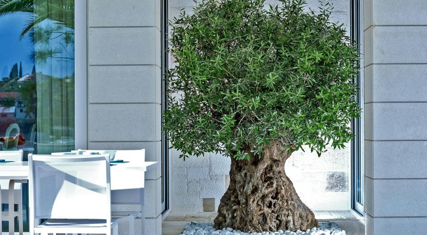 Photo of Brac Sunsets