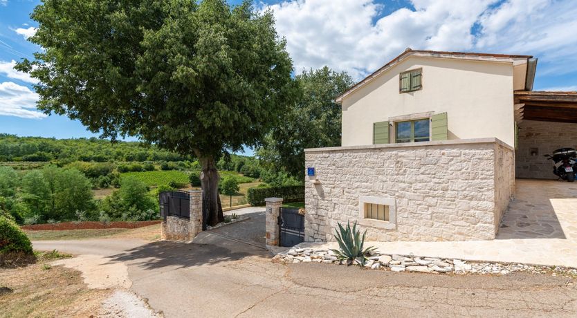 Photo of The Vine's Path