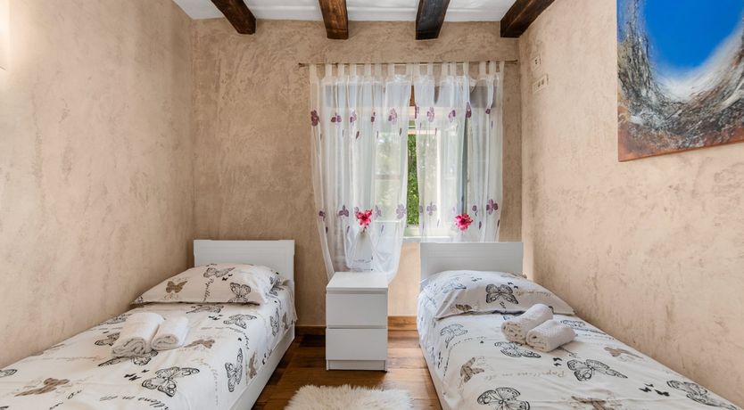 Photo of The Vine's Path