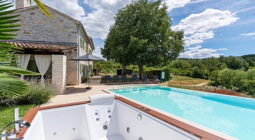 Photo of The Vine's Path