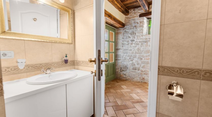 Photo of The Vine's Path