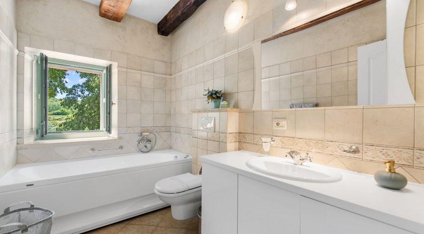 Photo of The Vine's Path