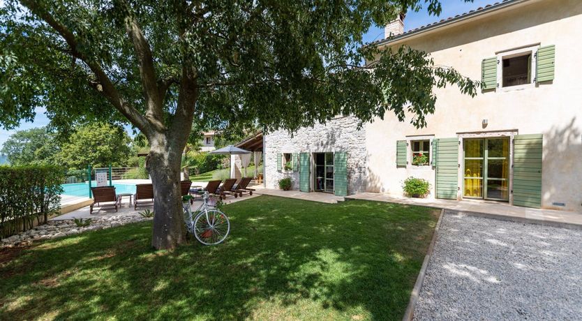 Photo of The Vine's Path