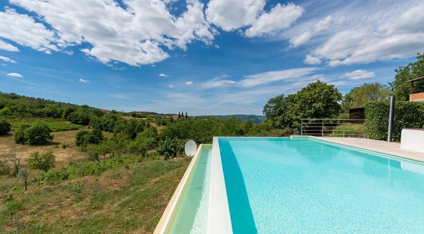 Photo of The Vine's Path