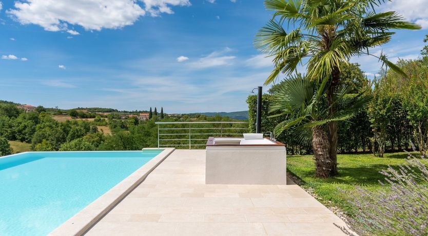 Photo of The Vine's Path