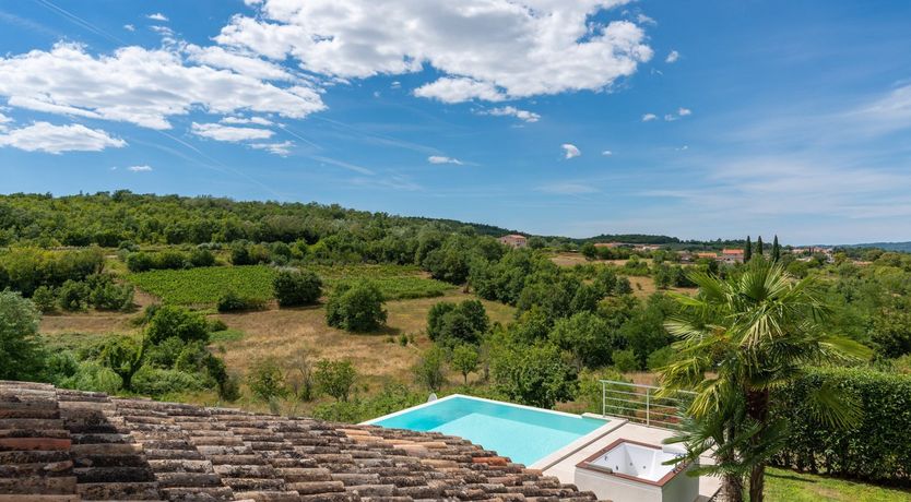 Photo of The Vine's Path