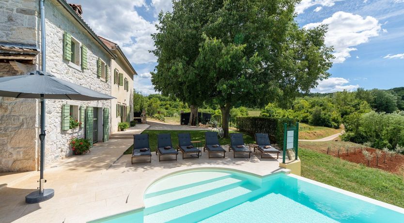 Photo of The Vine's Path