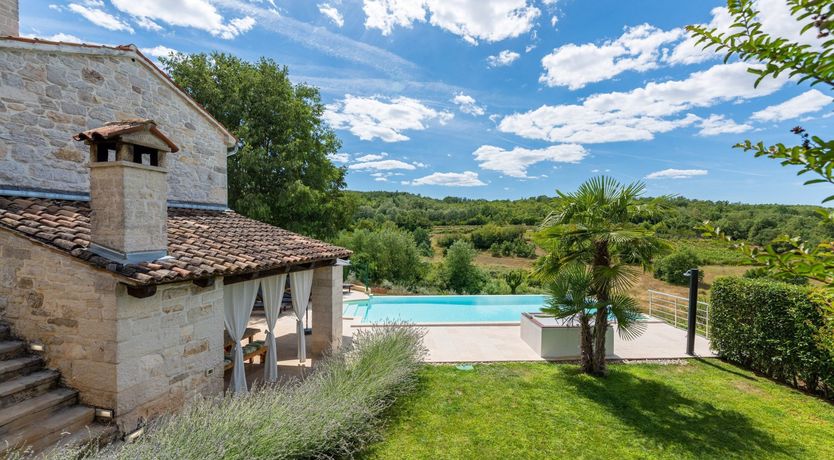 Photo of The Vine's Path