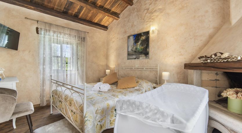 Photo of The Vine's Path