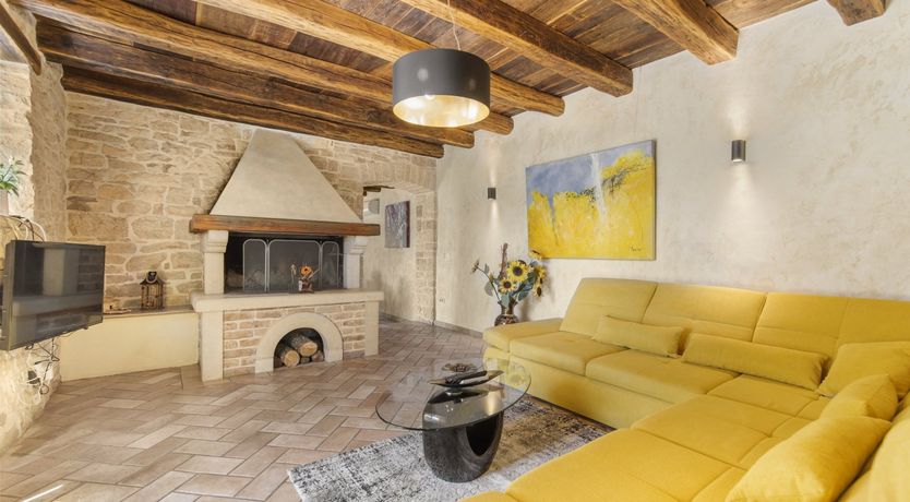 Photo of The Vine's Path