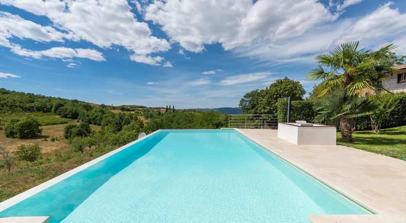 Photo of The Vine's Path