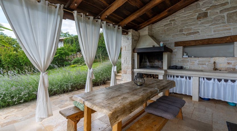 Photo of The Vine's Path