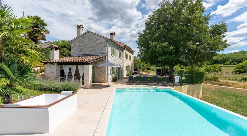 Photo of The Vine's Path