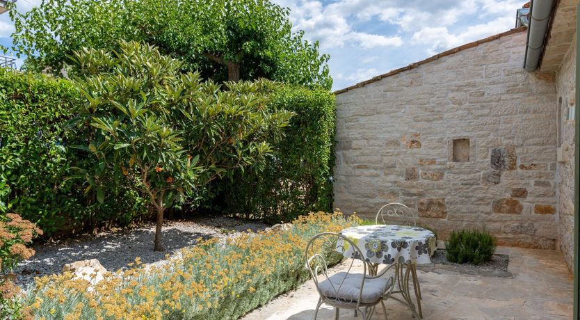 Photo of The Vine's Path