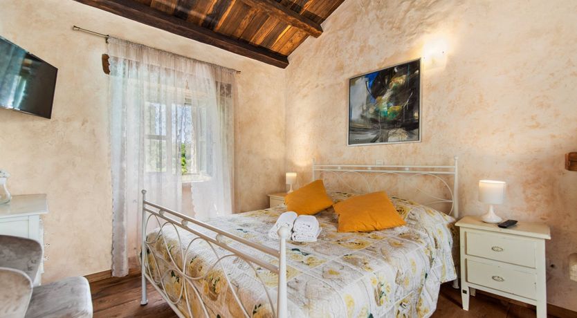 Photo of The Vine's Path