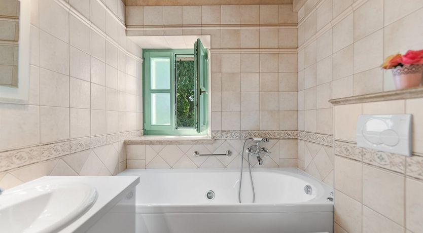 Photo of The Vine's Path