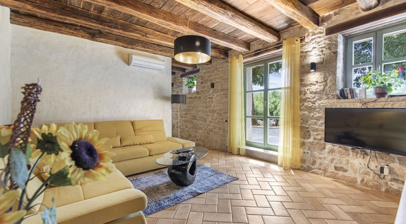 Photo of The Vine's Path