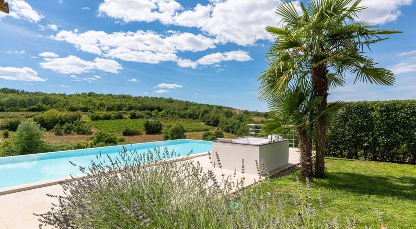 Photo of The Vine's Path