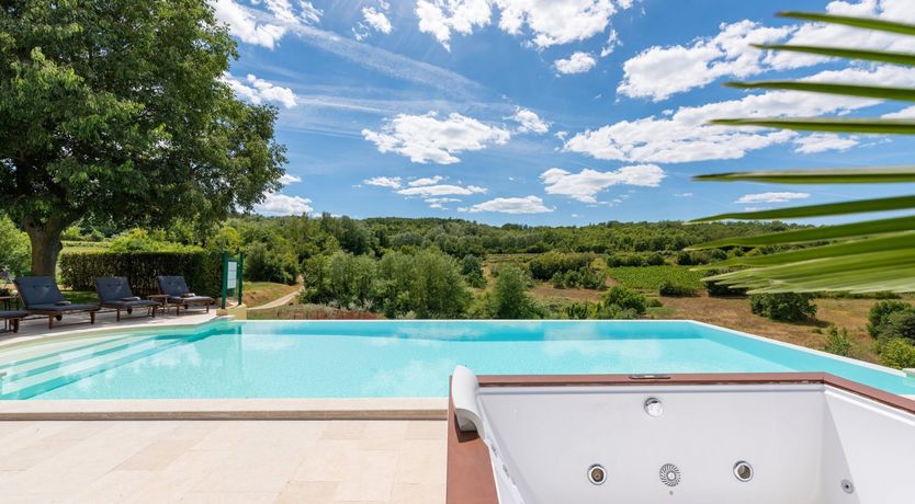 Photo of The Vine's Path