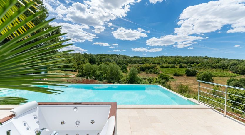 Photo of The Vine's Path