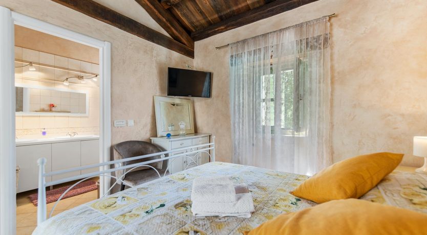 Photo of The Vine's Path