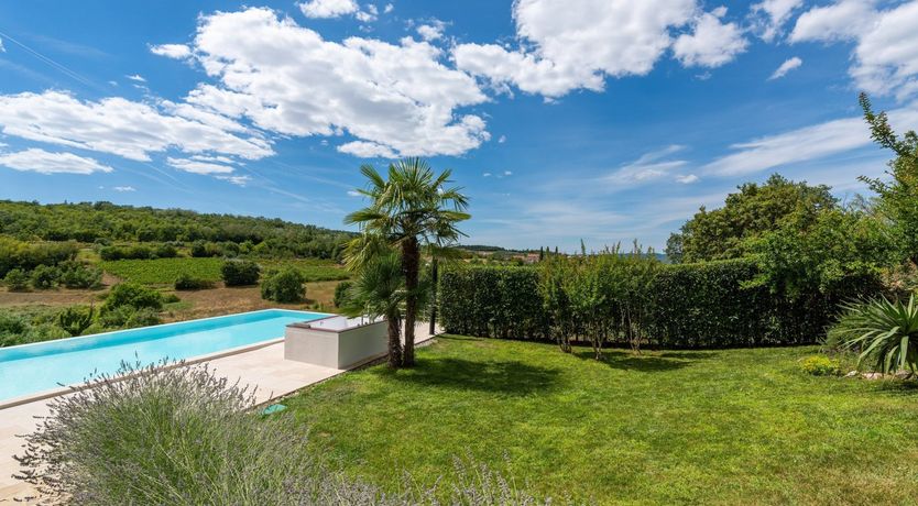 Photo of The Vine's Path