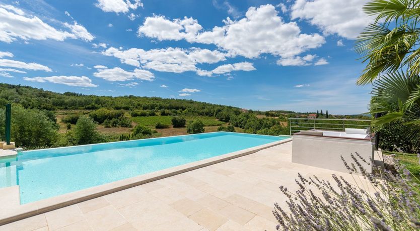 Photo of The Vine's Path