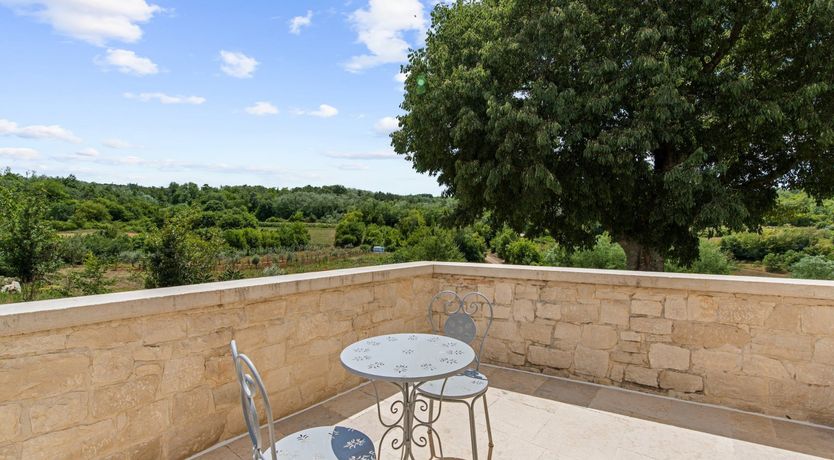 Photo of The Vine's Path