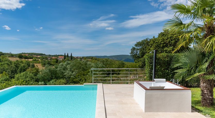 Photo of The Vine's Path