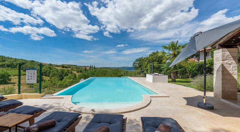 Photo of The Vine's Path