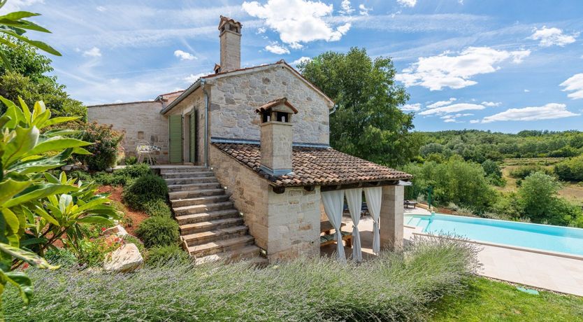 Photo of The Vine's Path