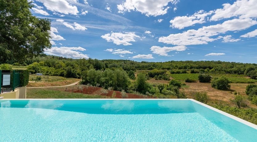 Photo of The Vine's Path