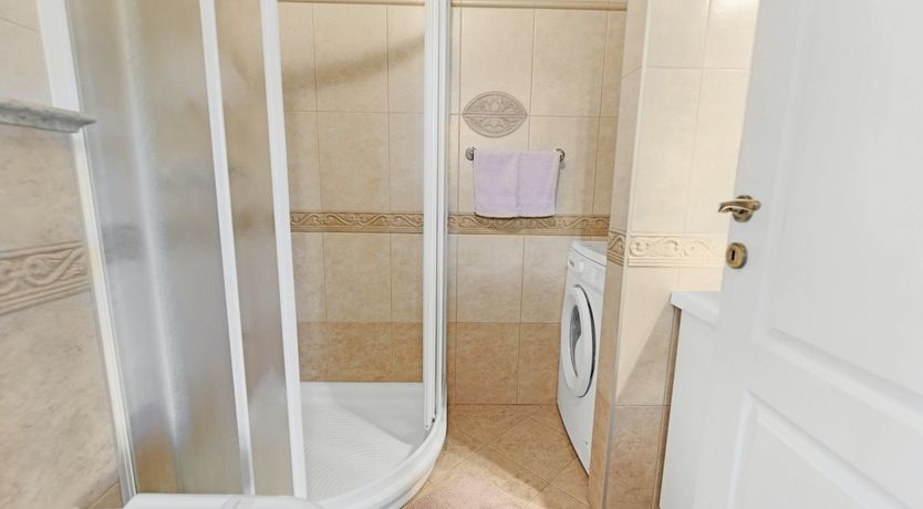 Photo of The Vine's Path