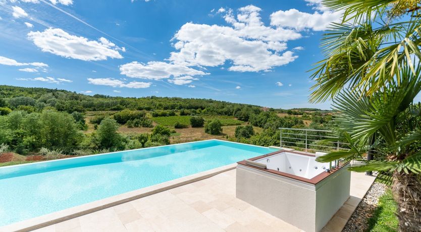 Photo of The Vine's Path