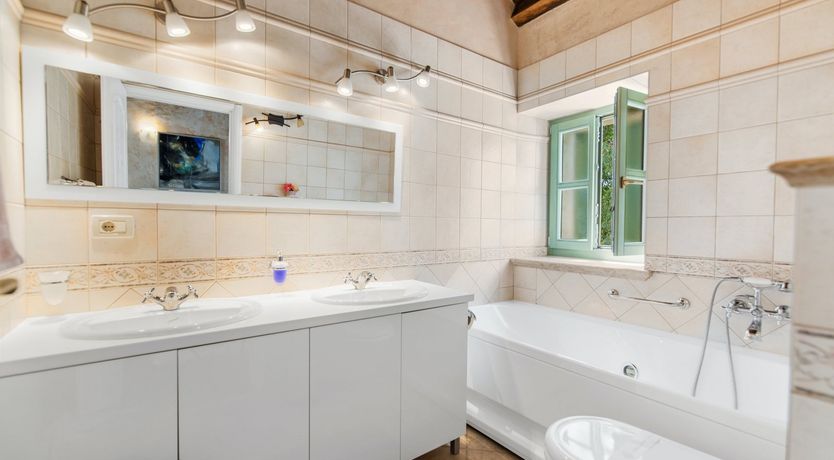 Photo of The Vine's Path