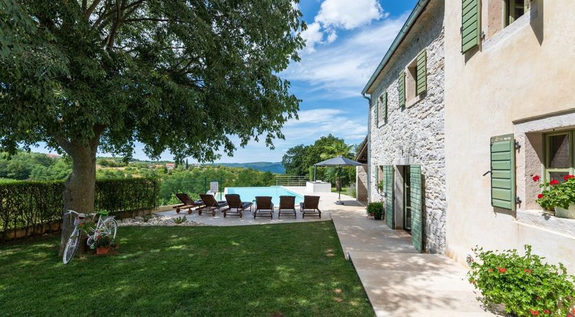 Photo of The Vine's Path