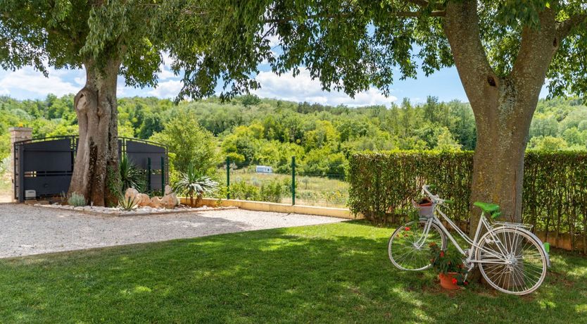 Photo of The Vine's Path