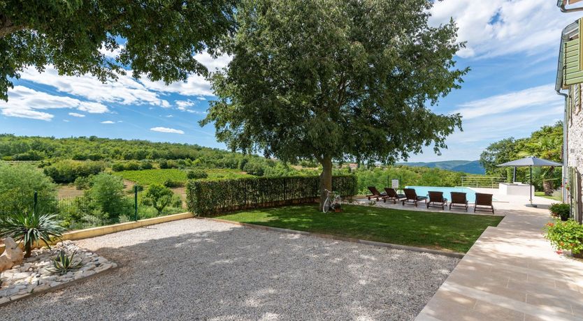 Photo of The Vine's Path