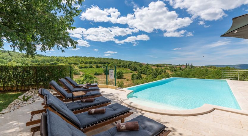 Photo of The Vine's Path