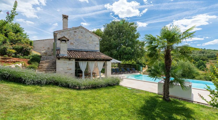 Photo of The Vine's Path