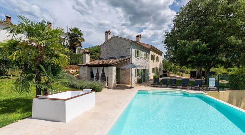 Photo of The Vine's Path