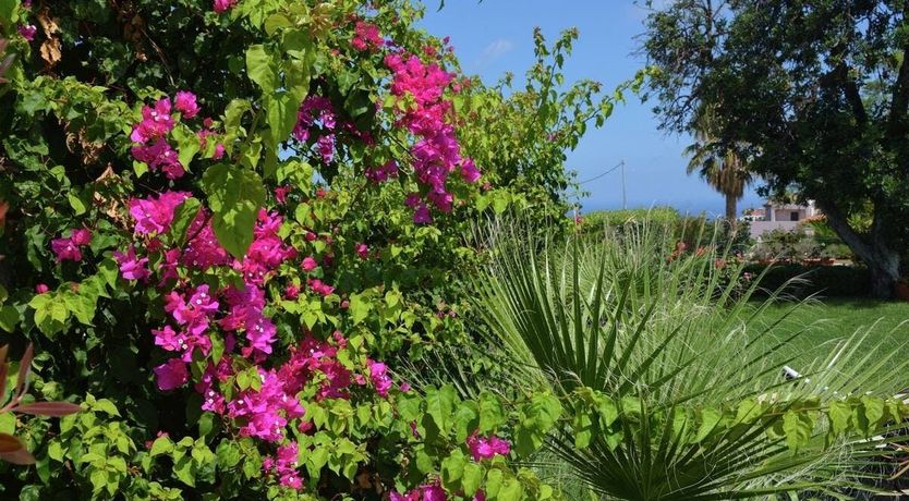 Photo of Stone Arches