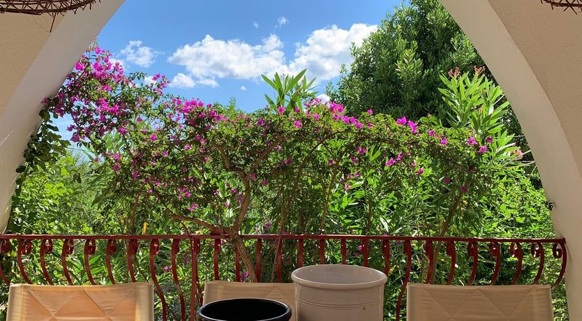 Photo of A Hillside Topography