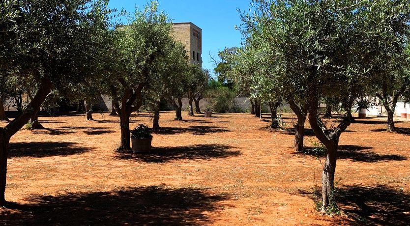 Photo of A Hillside Topography