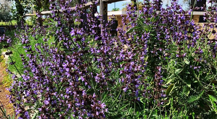 Photo of A Hillside Topography