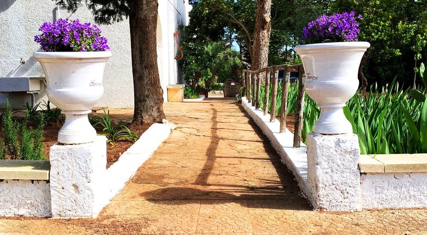 Photo of A Hillside Topography